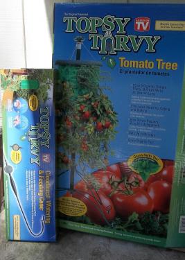 Topsy Turvy Tomato tree experiment
